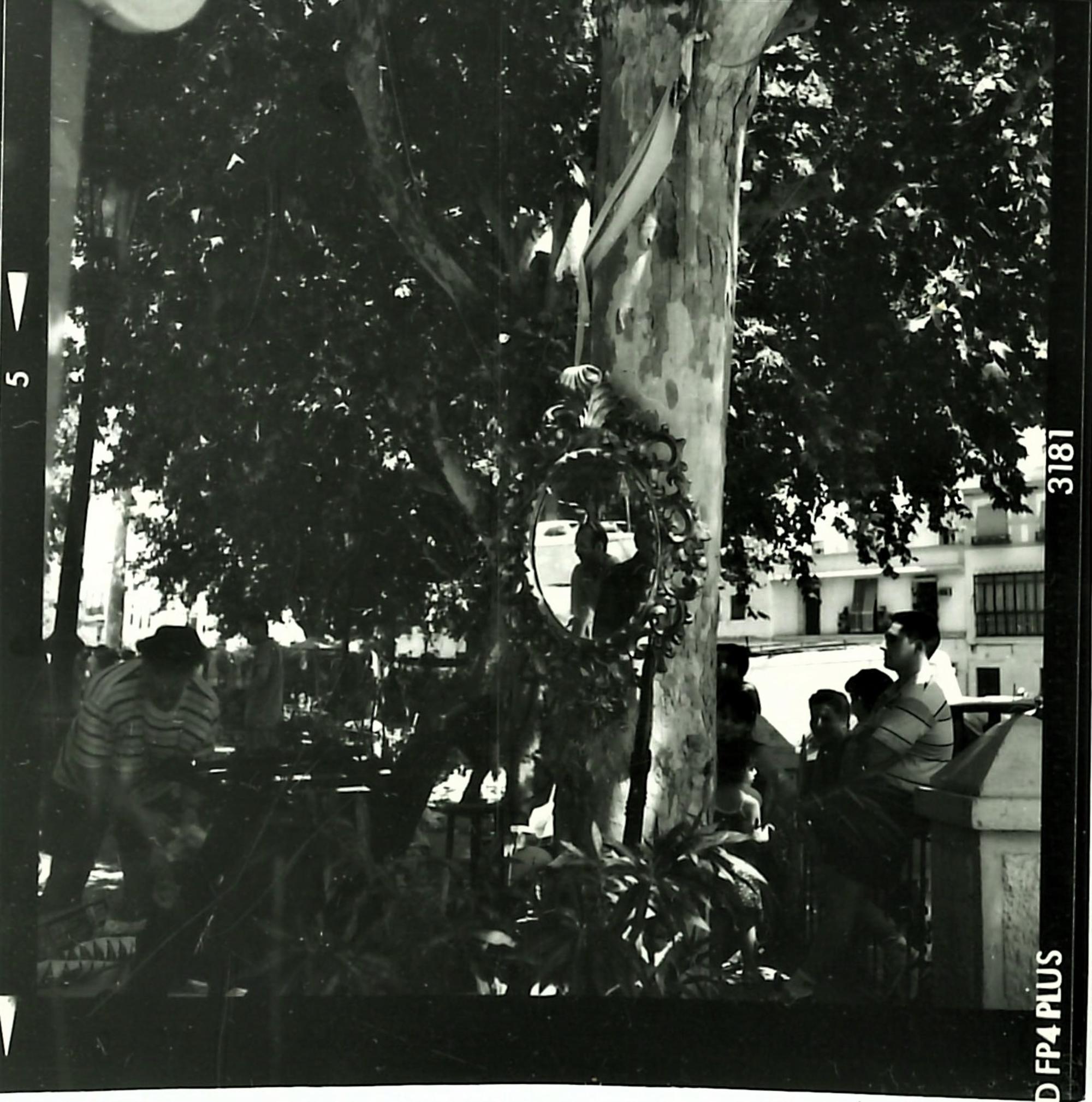 Mercadillo La Alameda 2
